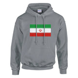 Sweat à capuche iran coton mélangé broderie couleur