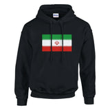 Sweat à capuche iran coton mélangé broderie couleur