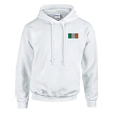 Sweat à capuche irlande broderie couleur coton mélangé