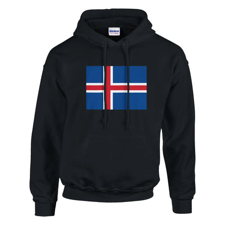 Sweat à capuche islande coton mélangé broderie couleur