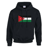 Sweat à capuche jordanie coton mélangé broderie couleur