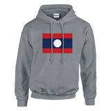 Sweat à capuche laos coton mélangé broderie couleur