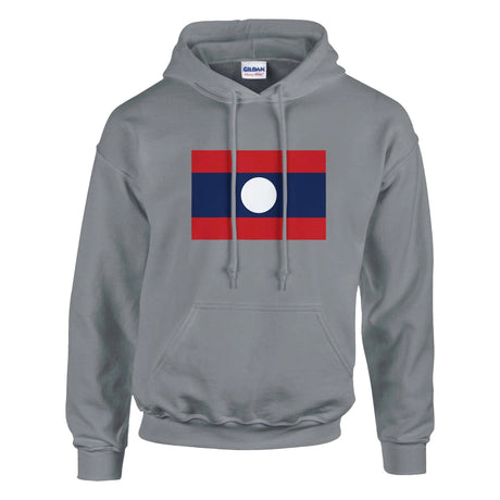 Sweat à capuche laos coton mélangé broderie couleur