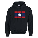 Sweat à capuche laos coton mélangé broderie couleur