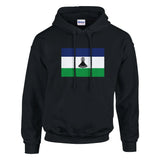 Sweat à capuche lesotho coton mélangé broderie couleur