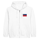 Sweat à capuche liechtenstein coton mélangé broderie couleur