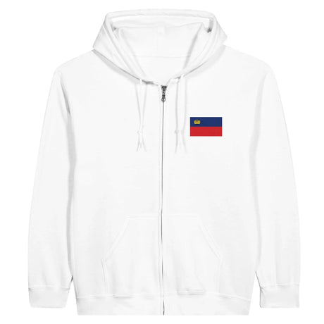 Sweat à capuche liechtenstein coton mélangé broderie couleur