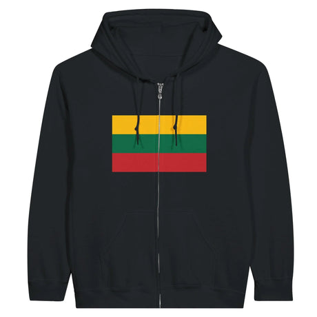 Sweat à capuche lituanie coton mélangé broderie drapeau