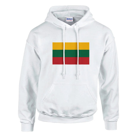 Sweat à capuche lituanie coton mélangé drapeau brodé