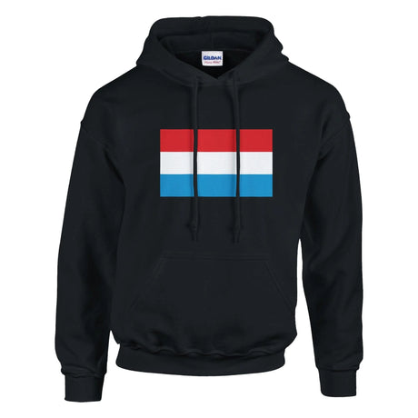 Sweat à capuche luxembourg coton mélangé broderie couleur