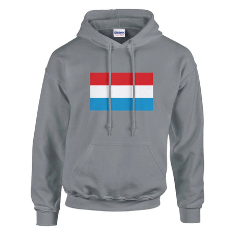 Sweat à capuche luxembourg coton mélangé broderie couleur