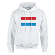 Sweat à capuche luxembourg coton mélangé broderie couleur