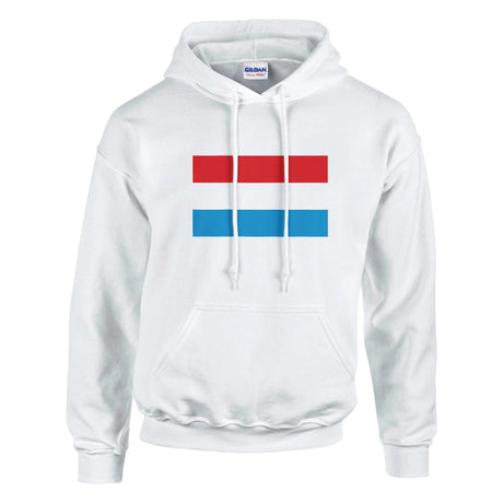 Sweat à capuche luxembourg coton mélangé broderie couleur