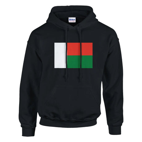 Sweat à capuche madagascar coton mélangé broderie