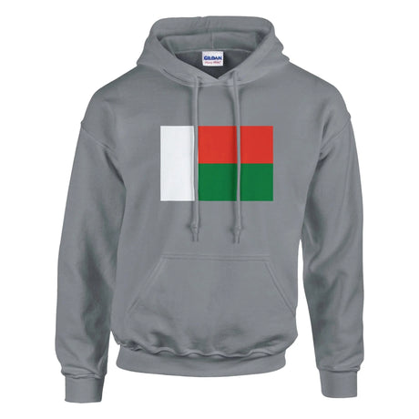 Sweat à capuche madagascar coton mélangé broderie