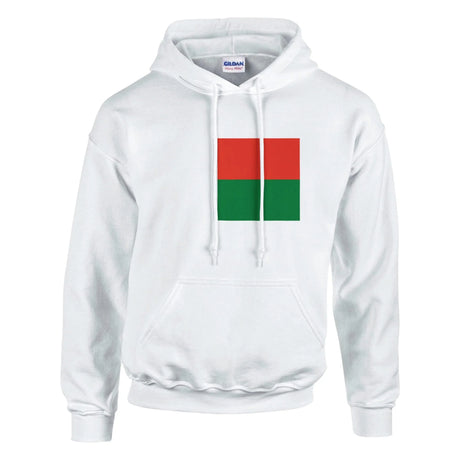 Sweat à capuche madagascar coton mélangé broderie