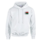 Sweat à capuche madagascar coton mélangé broderie couleur