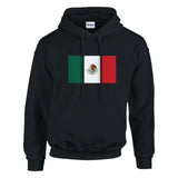 Sweat à capuche mexique coton mélangé drapeau brodé