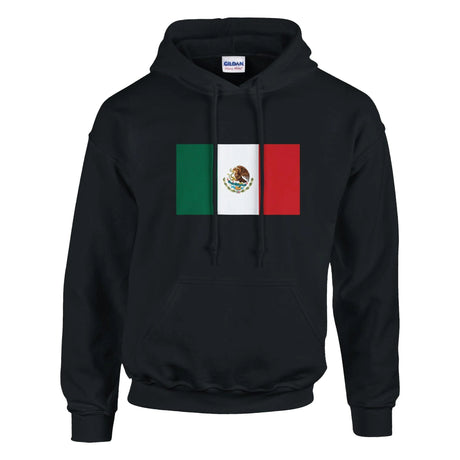 Sweat à capuche mexique coton mélangé drapeau brodé