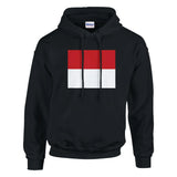 Sweat à capuche monaco coton mélangé broderie patriote