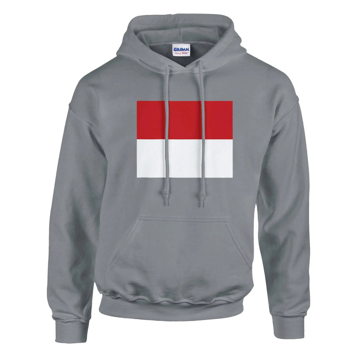 Sweat à capuche monaco coton mélangé broderie patriote