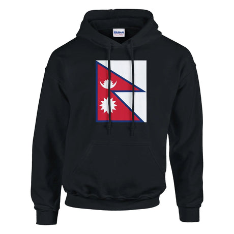 Sweat à capuche népal coton mélangé broderie couleur