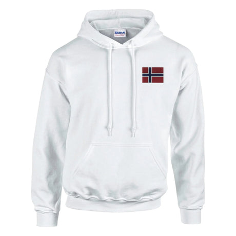 Sweat à capuche norvège coton mélangé broderie couleur