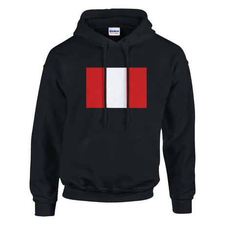 Sweat à capuche pérou coton mélangé broderie couleur