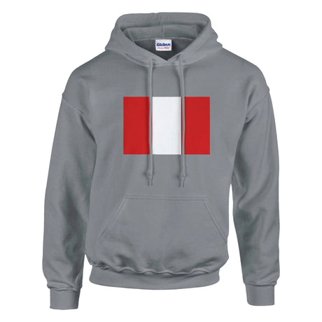 Sweat à capuche pérou coton mélangé broderie couleur