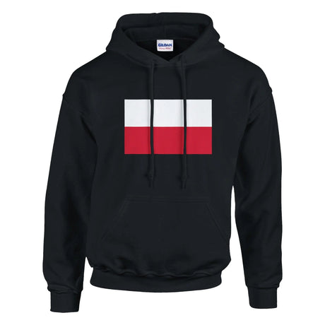 Sweat à capuche pologne coton mélangé broderie patriotique