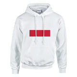 Sweat à capuche pologne coton mélangé broderie patriotique