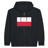 Sweat à capuche pologne fermeture éclair coton broderie