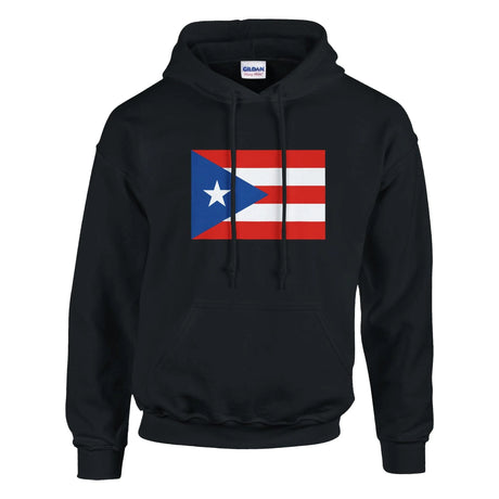 Sweat à capuche porto rico coton mélangé broderie