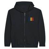 Sweat à capuche roumanie coton mélangé broderie couleur