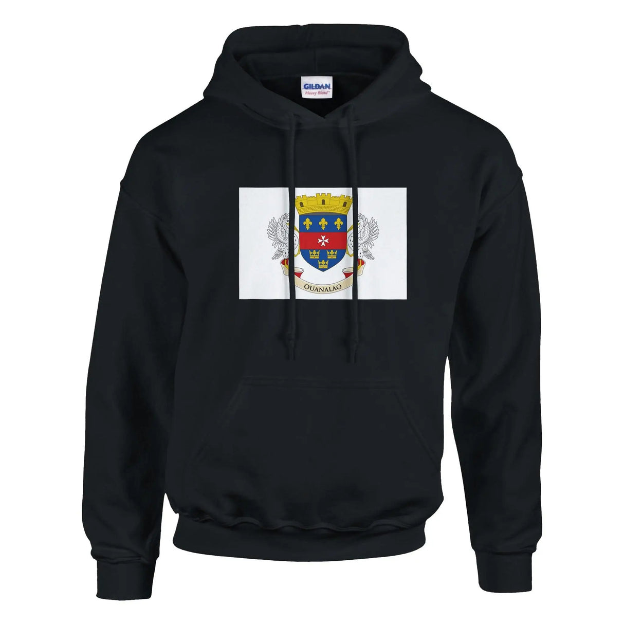 Sweat à capuche saint-barthélemy coton mélangé broderie