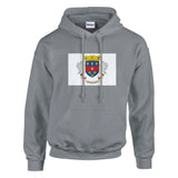 Sweat à capuche saint-barthélemy coton mélangé broderie