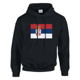 Sweat à capuche serbie coton mélangé brodé couleur