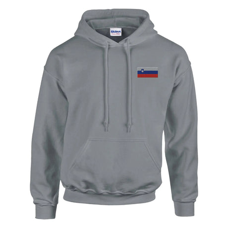Sweat à capuche slovénie coton mélangé broderie couleur
