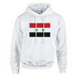 Sweat à capuche syrie coton mélangé broderie confort