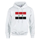Sweat à capuche syrie coton mélangé broderie confort
