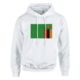 Sweat à capuche zambie coton mélangé broderie couleur