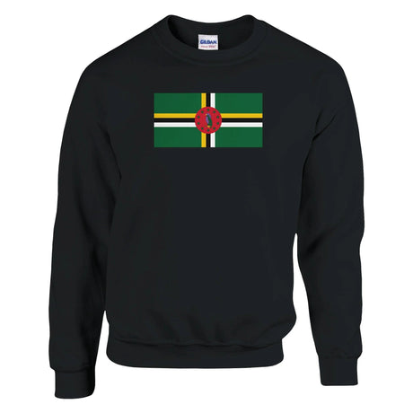 Sweat-shirt dominique drapeau coton mélangé brodé doux