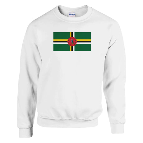 Sweat-shirt dominique drapeau coton mélangé brodé doux