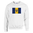 Sweat-shirt drapeau barbade coton mélangé broderie
