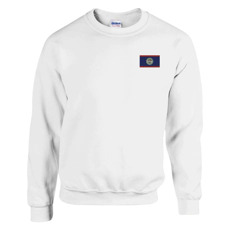 Sweat-shirt drapeau belize broderie couleur coton mélangé