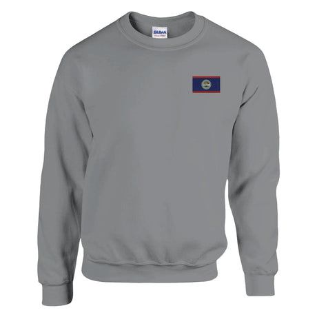 Sweat-shirt drapeau belize broderie couleur coton mélangé