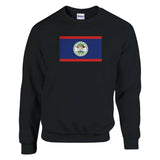 Sweat-shirt drapeau belize coton mélangé broderie douce