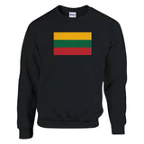 Sweat-shirt drapeau lituanie coton mélangé broderie douce