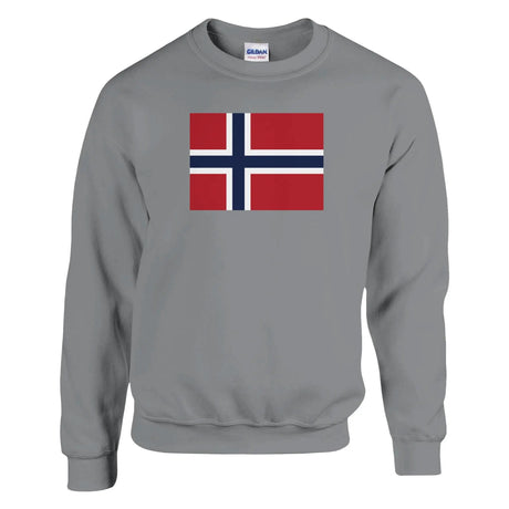 Sweat-shirt drapeau norvège coton mélangé broderie douce