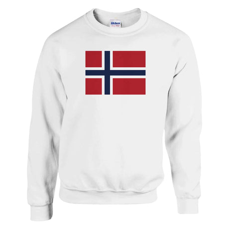 Sweat-shirt drapeau norvège coton mélangé broderie douce